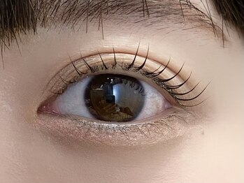 ネリネ 天神(nerine)/立ち上げカールデザイン