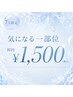 脱毛デビューの方オススメ♪☆全身【顔・VIO含む】から選べる1箇所♪ 1,500円