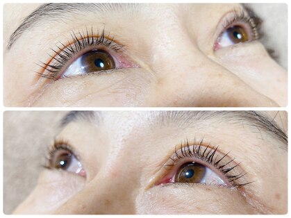 森の灯りの写真