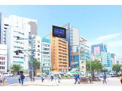 ボニット(Boknit)の写真