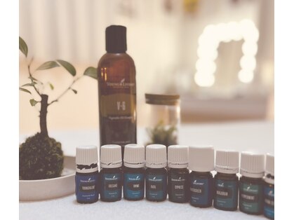 アンジェリカ(Angelica)の写真