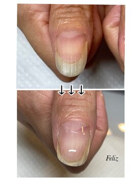 フェリス(Feliz)/