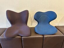 骨盤メディカル整骨院 札幌市東区元町院/【Style Seat 2種類】お試し可能