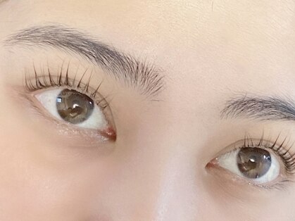 シガシガ(siga-siga)の写真