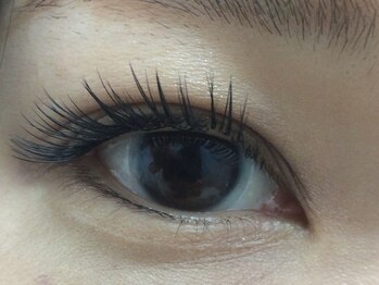 シュシュ(chou chou)/セーブル140本(chouchou吉祥寺)