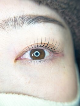 ザ グロウム(The glowm)/