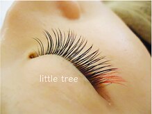 リトルツリー(little tree)/カラーエクステ