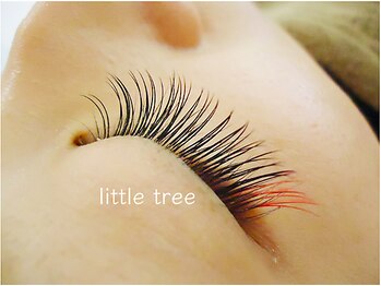 リトルツリー(little tree)/カラーエクステ