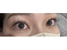アイビーラッシュ(Eye be Lush)/フラットラッシュ　120本 