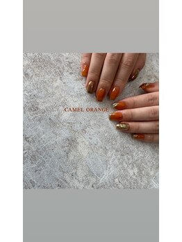 コンキリアット(Conciliat)/