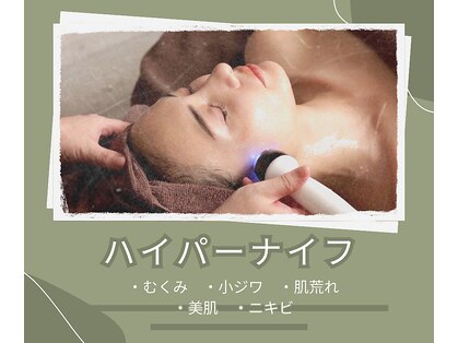 リッカ(Ricca)の写真
