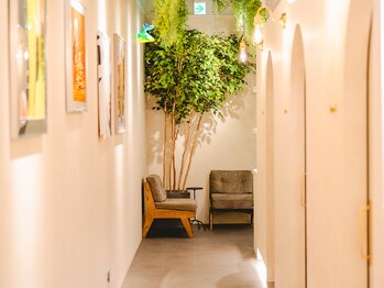 パナケアストレッチ 渋谷神泉店/広々とした店内