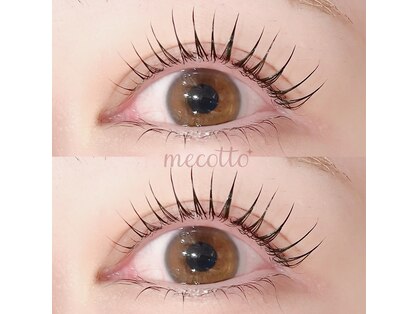 メコット(mecotto)の写真