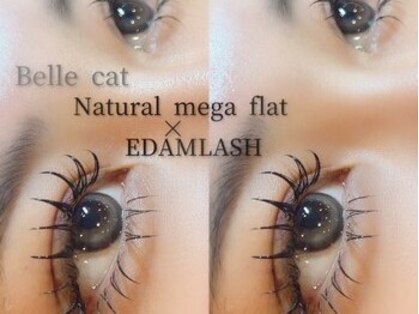 クワトロ バイ ベルキャットの写真