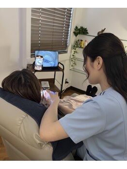 ピレア(Pillea)/【耳掃除】静岡市近隣市初登場