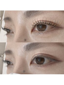 ビューティー アイラッシュ ベルウインク(Bellewink)/まつげパーマ