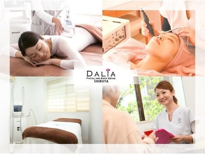 ダリア(DALIA)の写真