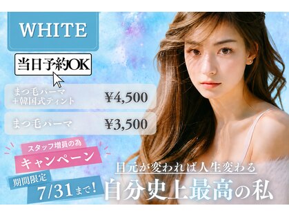 ホワイト(WHITE)の写真