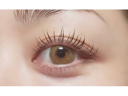 スミカ(Sumika)の写真