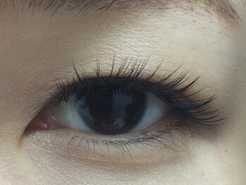 シュシュ(chou chou)/セーブル140本(chouchou吉祥寺)