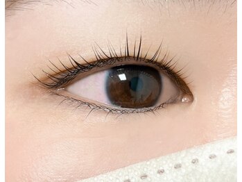 リベラ(Rivera)/上下マツパ