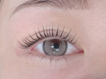 シュクレ 鈴鹿店(shucre)の写真/秋キャンペーン《コスパ最強×タイパ最高》まつげパーマ コーティング仕上げ付 11月末まで限定価格3900円♪