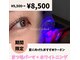 プリモアイラッシュ(Primo Eyelash)の写真