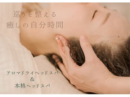 ビジ(biji)の写真