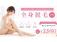 街ノビヨウダツモウの写真
