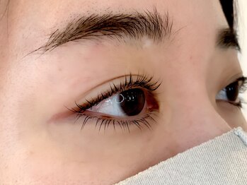 ホーム バイ ソロ(Home by SOLO)/上下パリジェンヌラッシュリフト