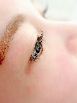 ミリ(.mm)/フラットラッシュ Dカール