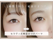 セラヴィ(C'est la vie)