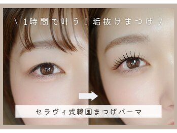 セラヴィ(C'est la vie)