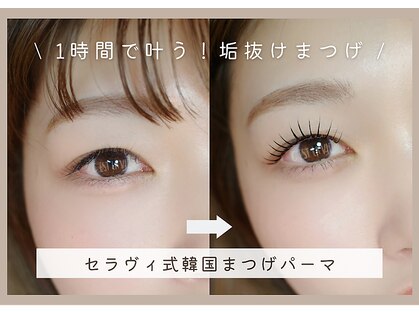 セラヴィ(C'est la vie)の写真