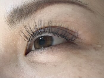 ブロスプラスアイ(BROS＋e)/３Ｄエクステ100束