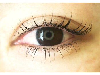 アルセ(arce)/エレガントな目元に!