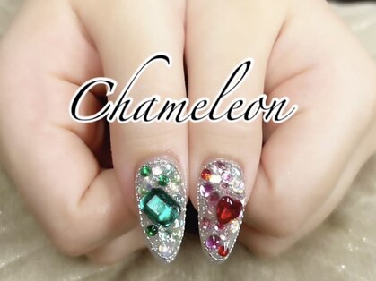 カメレオン(chameleon)の写真