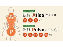 A.P.バランス（骨格・骨盤調整 / 首まわりの調整）