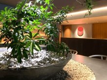 整体院LUNAの雰囲気（待合室です。）