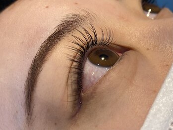 レーヴ アイラッシュ(Reve eyelash)/☆ セーブル 120本 ☆