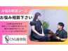 お任せ整体　30分¥4500