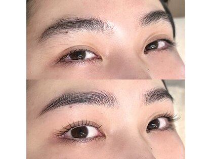 イロドリ(IRODORI)の写真