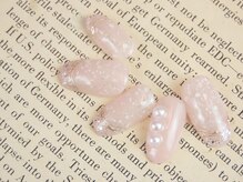 ヴィラ ド プレセア(Villa de presea)/