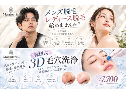 マルグリット(Marguerite.)の写真
