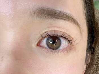 ジラフ(giraffe)/【まつパ】立ち上げ