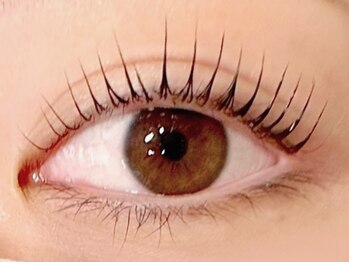 エクシア(EXCIA)/まつ毛パーマLEDコーティング