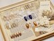 スウィートネイル(Sweet nail)の写真