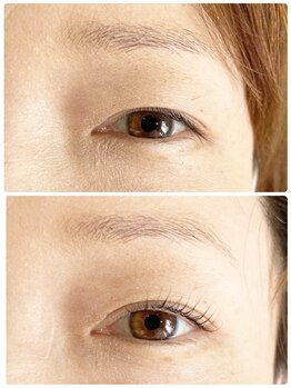 バードアイ(bird eye)/ラッシュリフト(まつ毛パーマ)