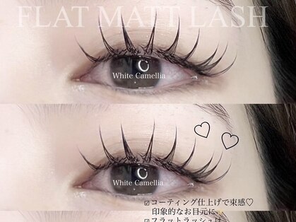 ホワイトカメリア(White Camellia)の写真