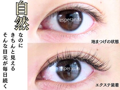 エスペランサ(esperanza)の写真